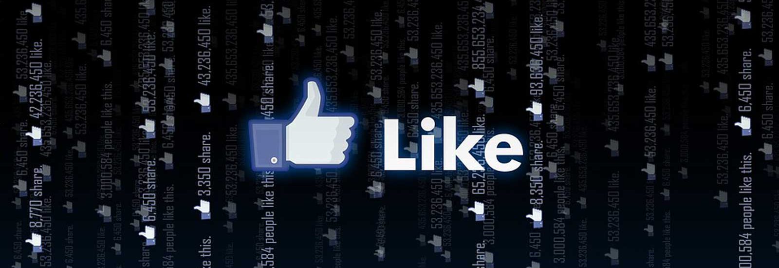 קידום וניהול פייסבוק - סימון וכתובת LIKE של פייסבוק